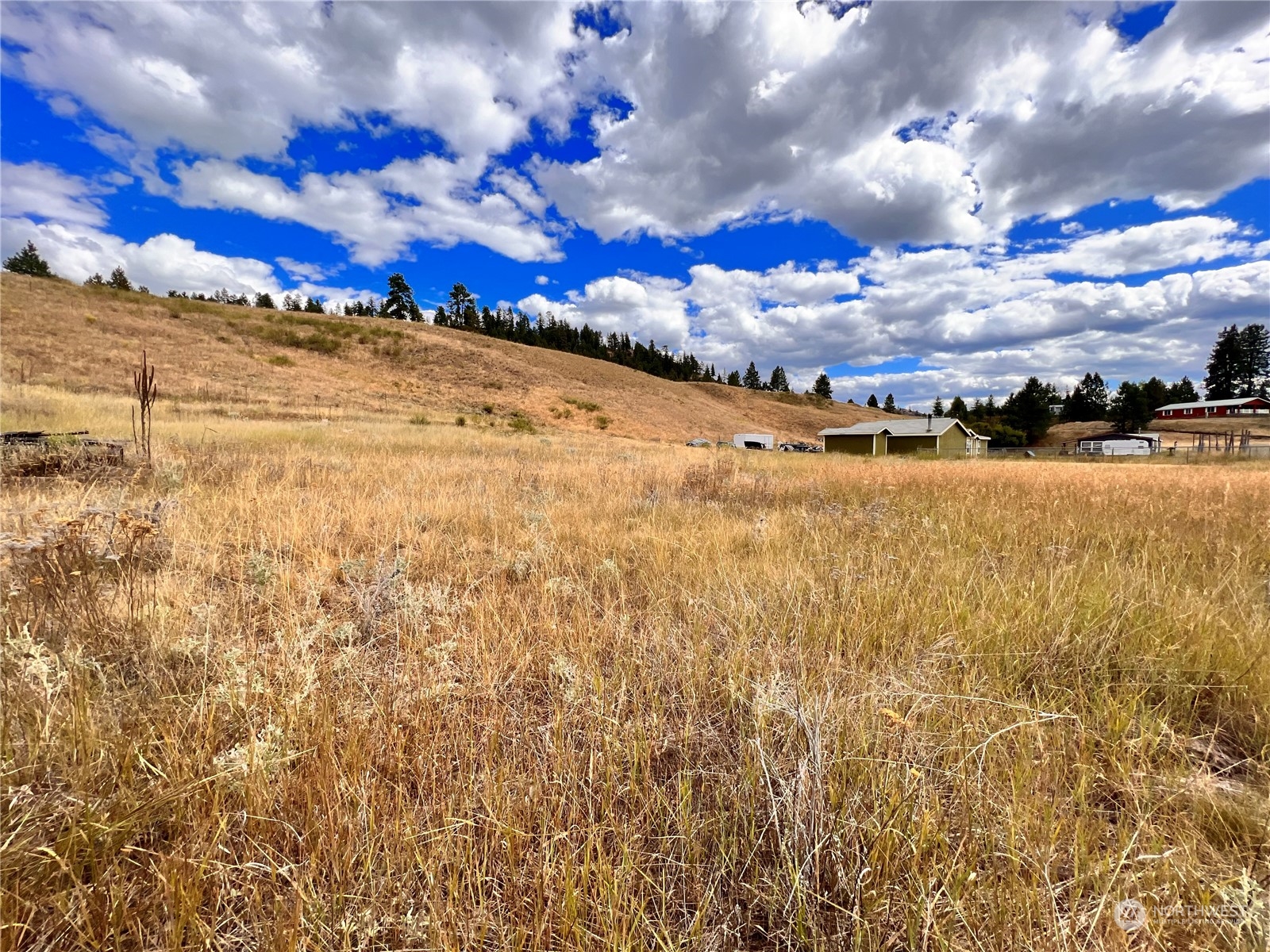 14 Heron Loop Road Republic, WA 99166 - Photo 13 of 13 Gallery Image 13