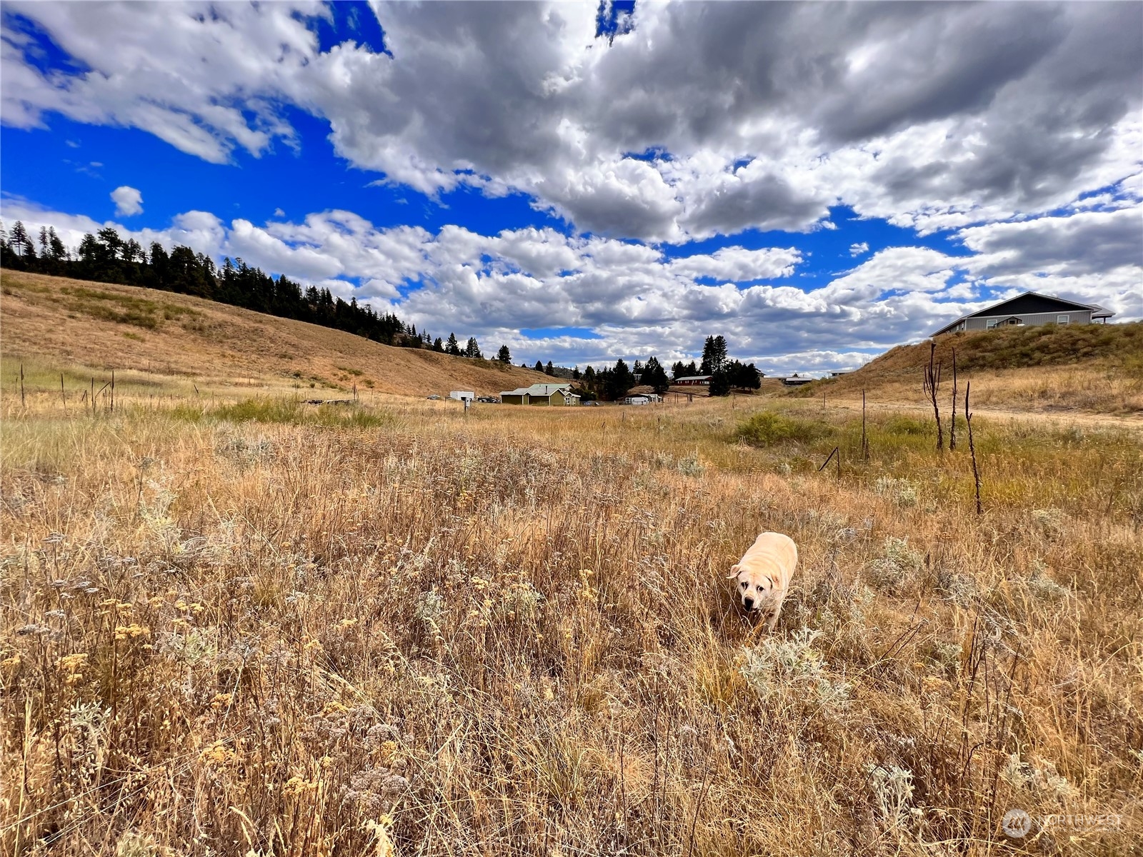 14 Heron Loop Road Republic, WA 99166 - Photo 3 of 13 Gallery Image 3