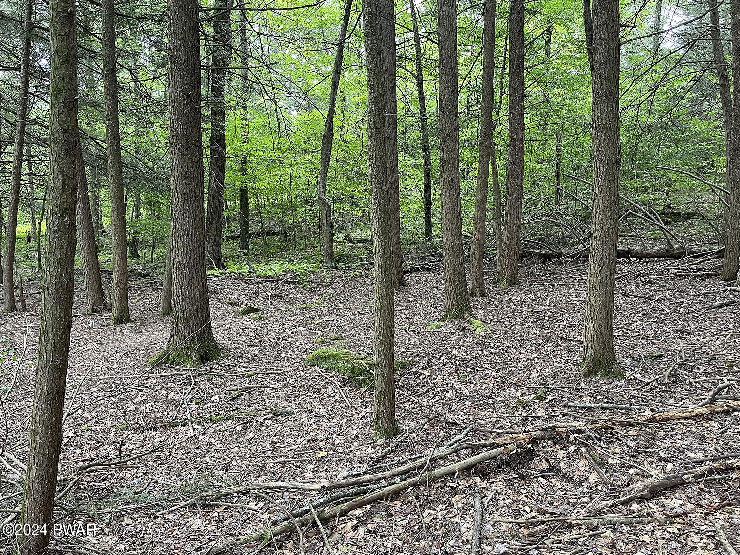 0 Rotten Road Equinunk, PA 18417 - Photo 8 of 20