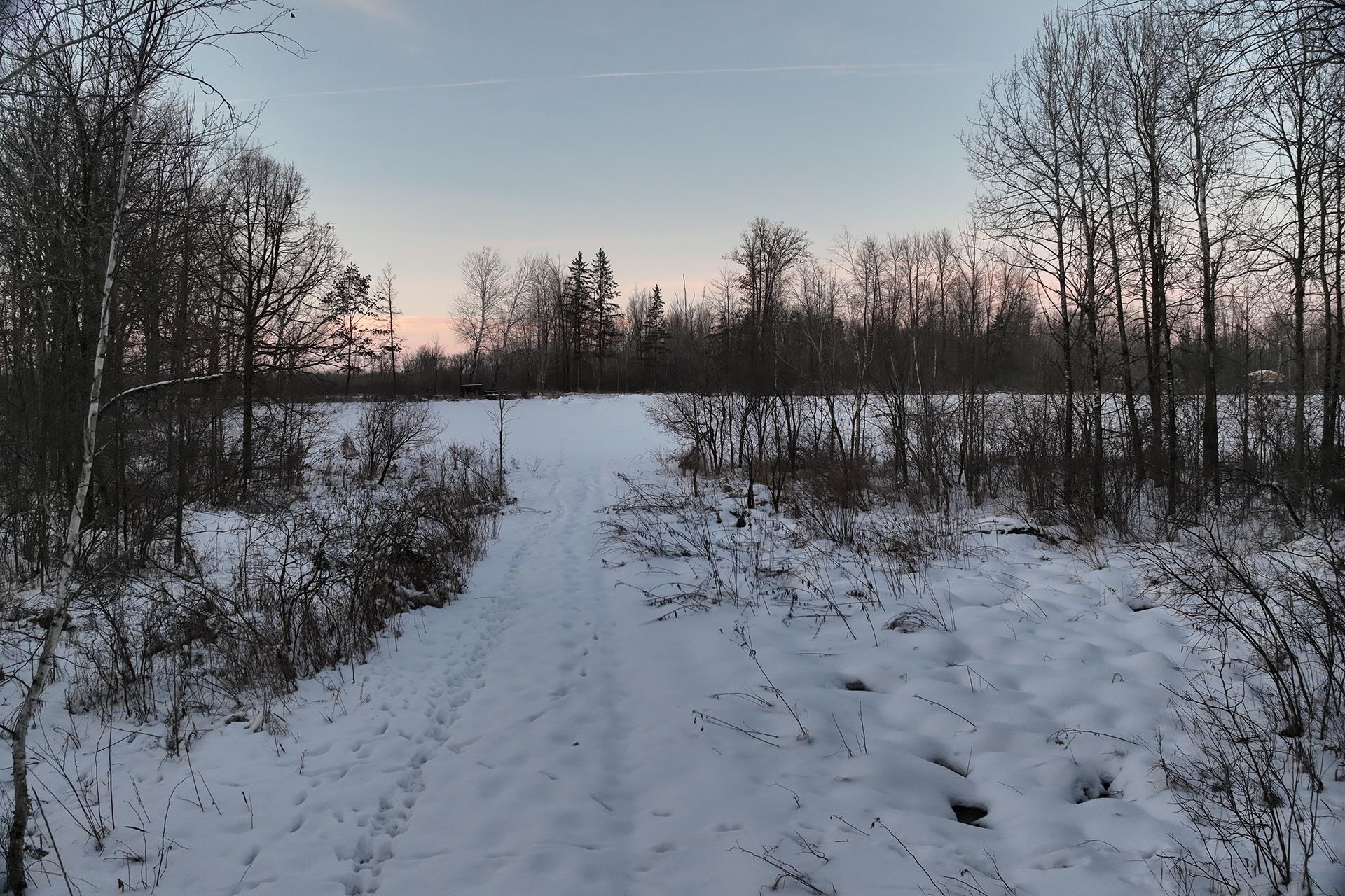 65.32-acres Bobwhite Road Neillsville, WI 54456 - Photo 22 of 26