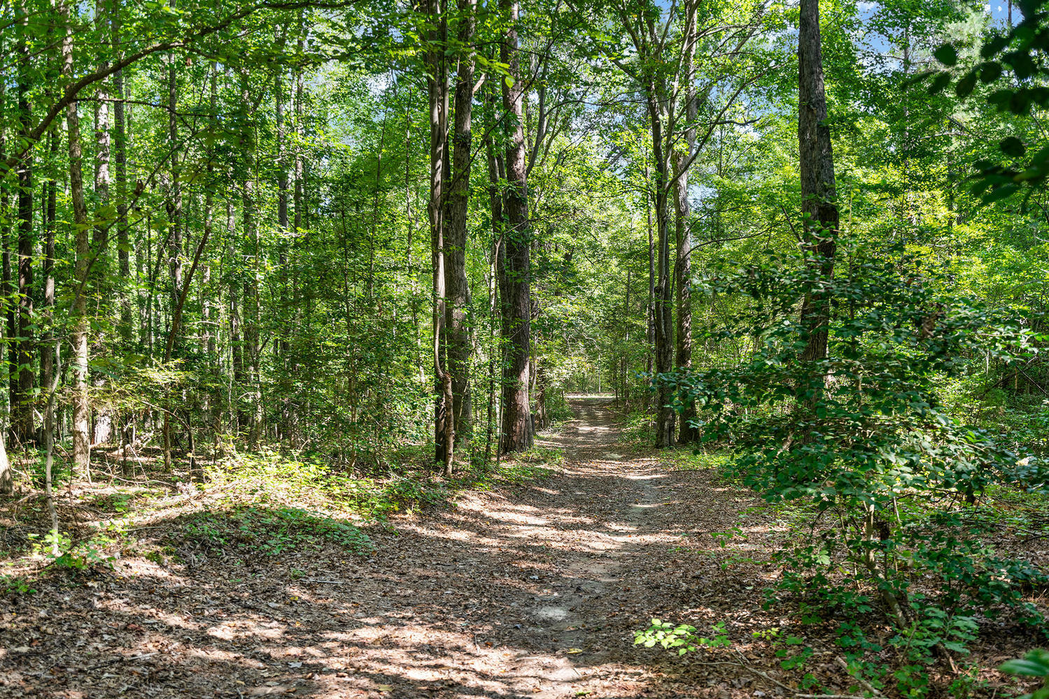 240 Connell Road Carthage, NC 28327 - Photo 42 of 48 240 Connell Rd Carthage NC-large-045-27-