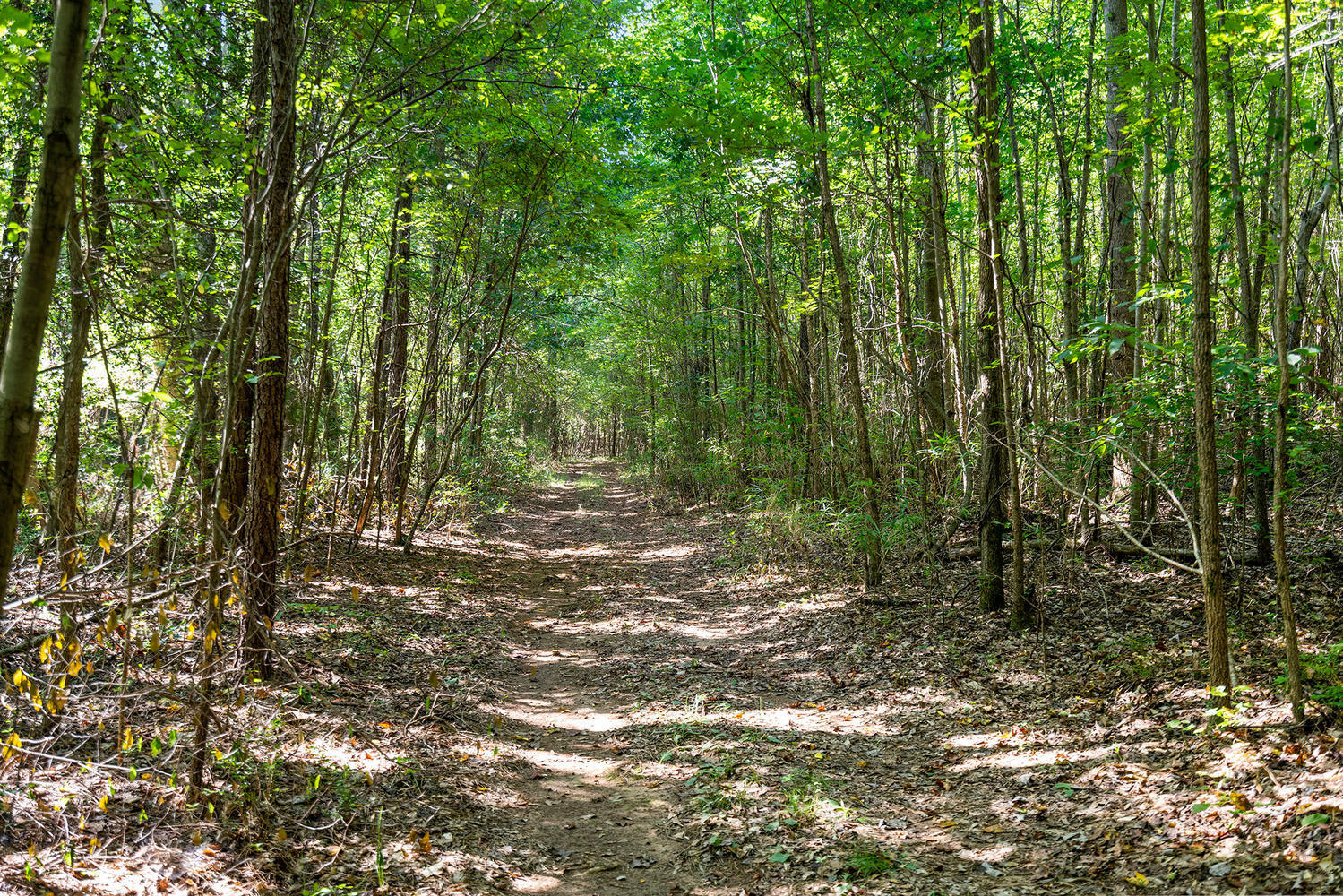 240 Connell Road Carthage, NC 28327 - Photo 43 of 48 240 Connell Rd Carthage NC-large-046-26-
