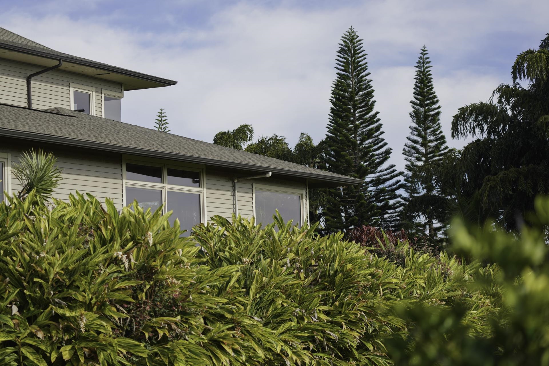 43 West Waipio Road Haiku, HI 96708 - Photo 37 of 44 a small pool with some trees in front of it