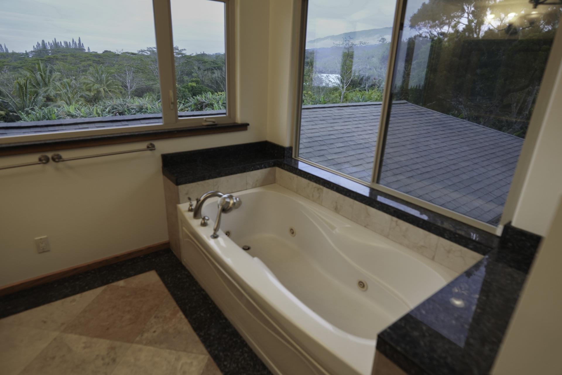 43 West Waipio Road Haiku, HI 96708 - Photo 5 of 44 a bathroom with a bathtub and window