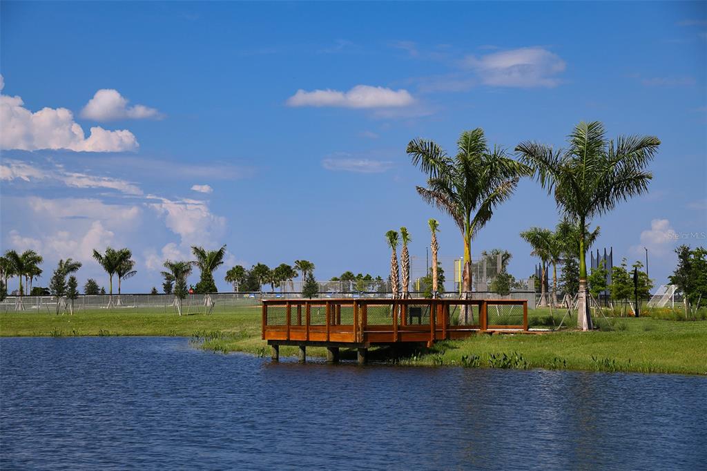 10770 Eclipse Street Sarasota, FL 34241 - Photo 35 of 48 a view of a swimming pool and trees in the background