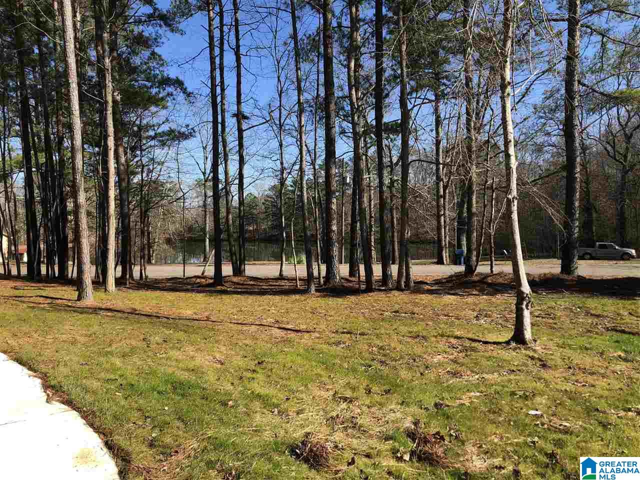 24 Tyler Road Remlap, AL 35133 - Photo 41 of 48 Gallery Image 41