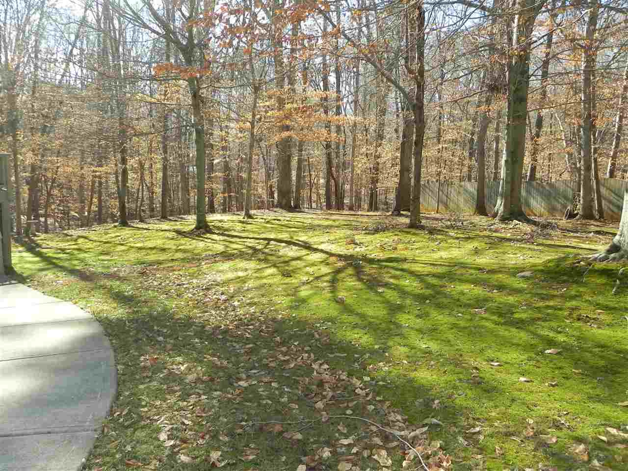 5505 Overleaf Court Raleigh, NC 27615 - Photo 23 of 25 The Backyard is Like a Park w/Tons of Trees and Plenty of Room to Run and Play. Truly a Beautiful Setting! Backyard