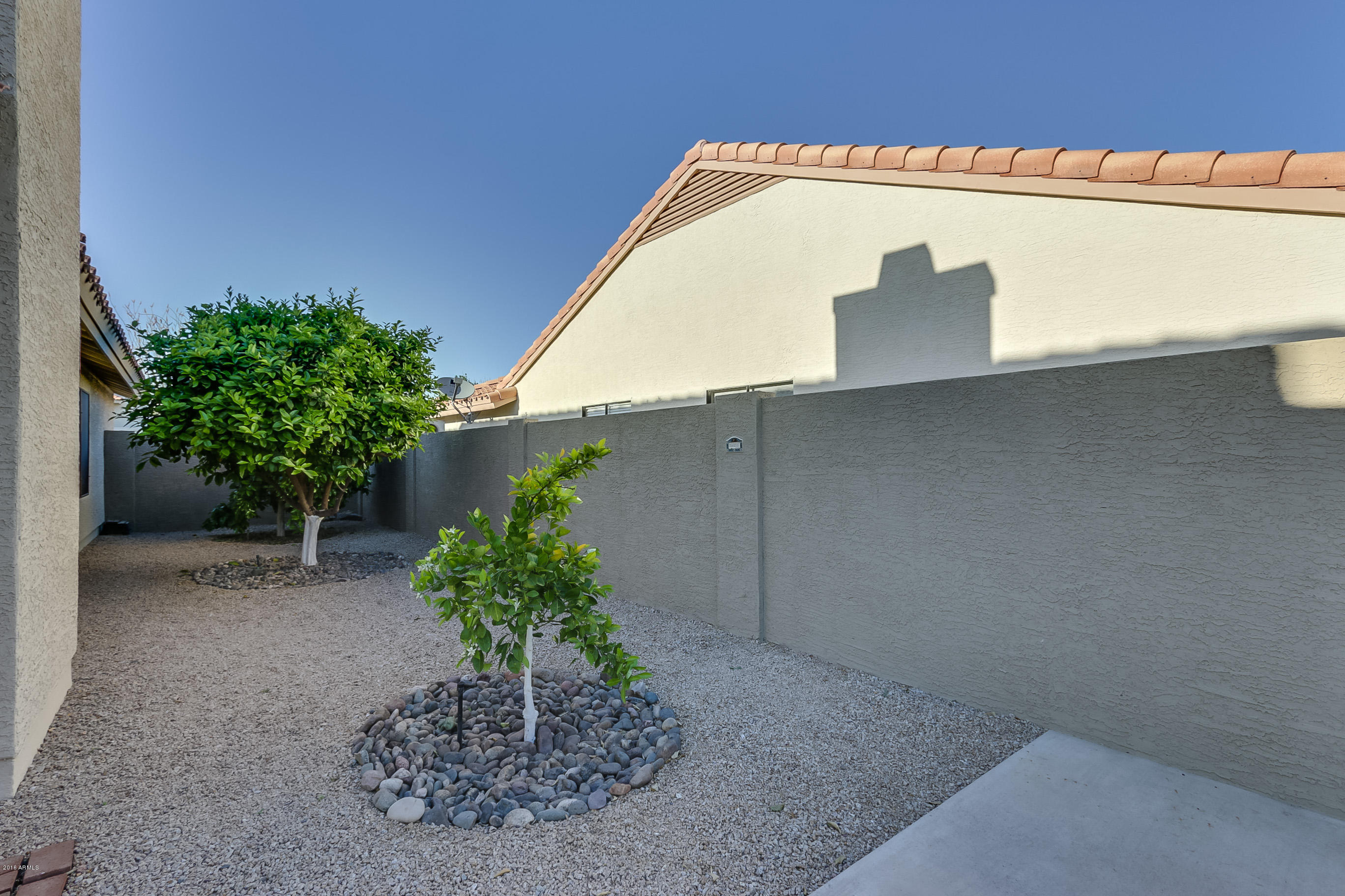 3509 East Desert Trumpet Road Phoenix, AZ 85044 - Photo 37 of 37 Backyard - Side Yard with Citrus