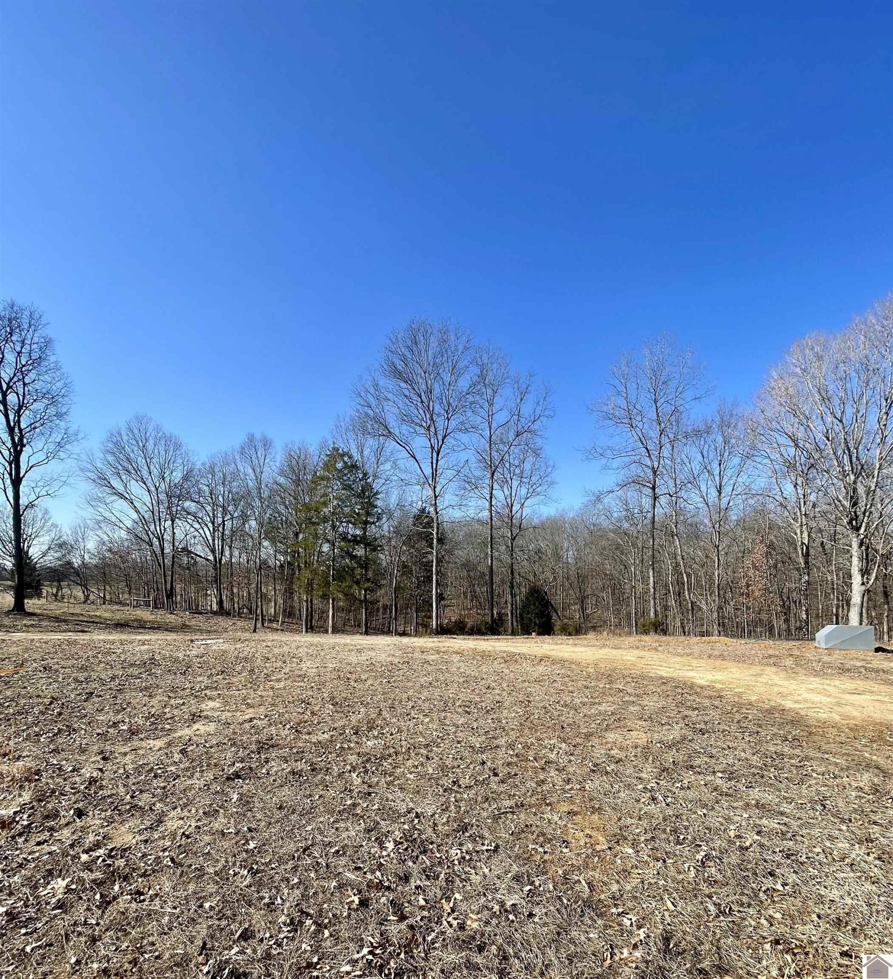 4339 Almo-Shiloh Road Almo, KY 42020 - Photo 1 of 7 Photo 1