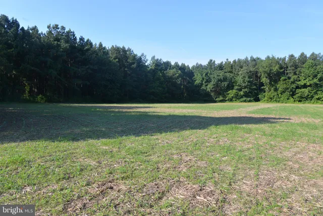 a view of an outdoor space and a yard