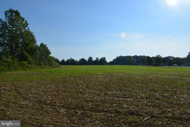 a park view with a bench