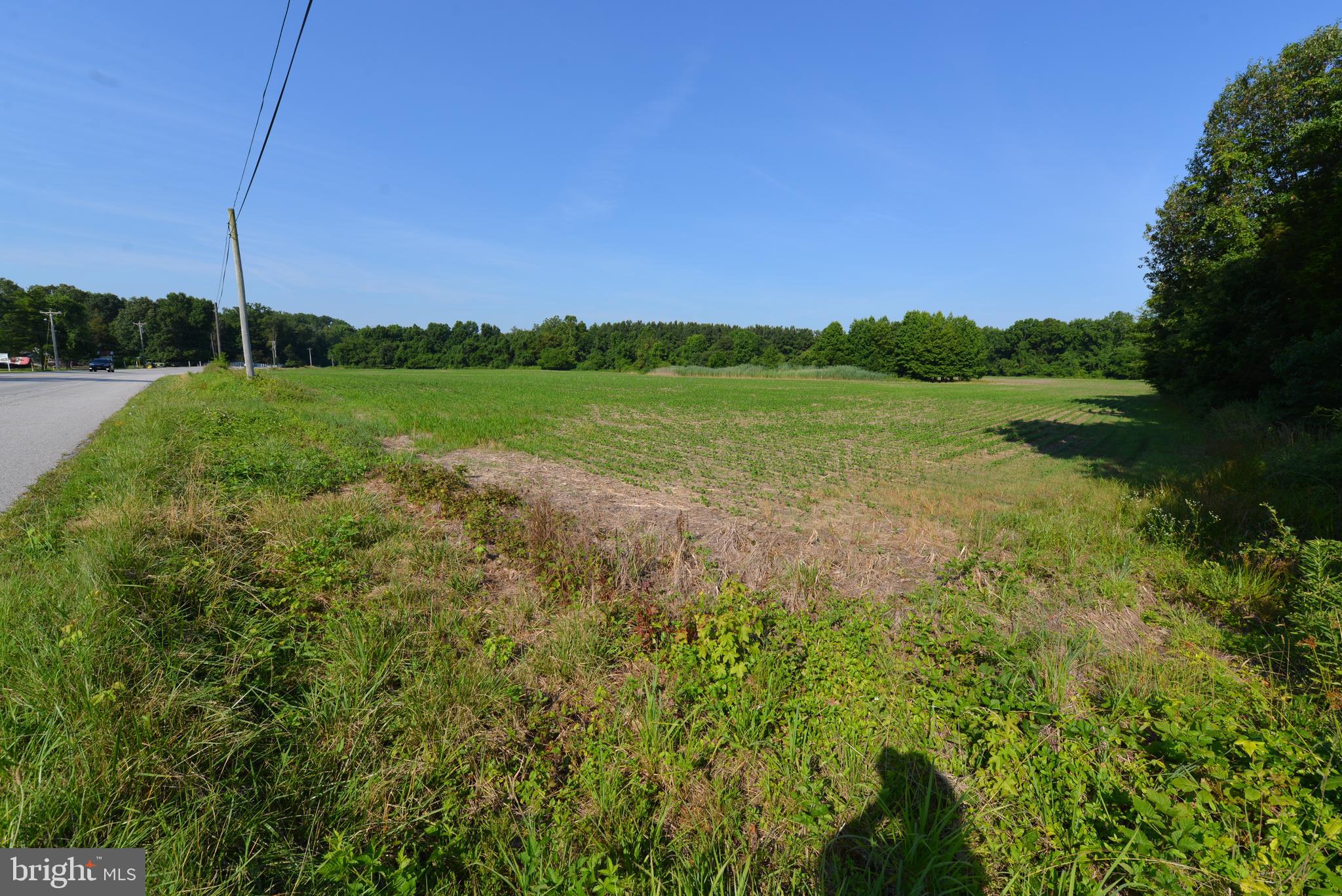 213 Rd Centreville Md 21617 Road Centreville, MD 21617 - Photo 26 of 33 a view of a garden with a lake