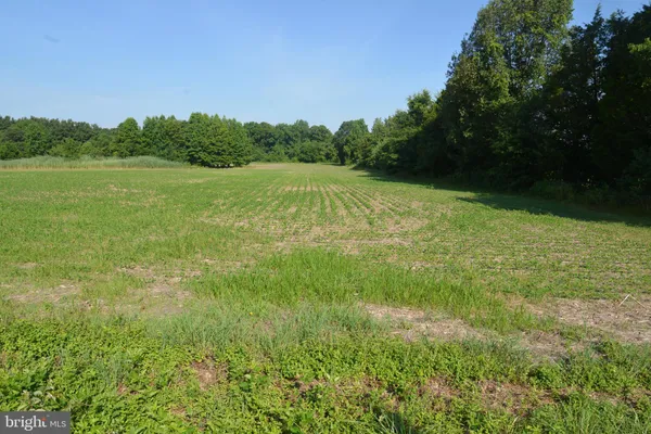 a view of a green yard with a house in the background
