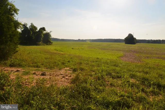 a view of a field and trees