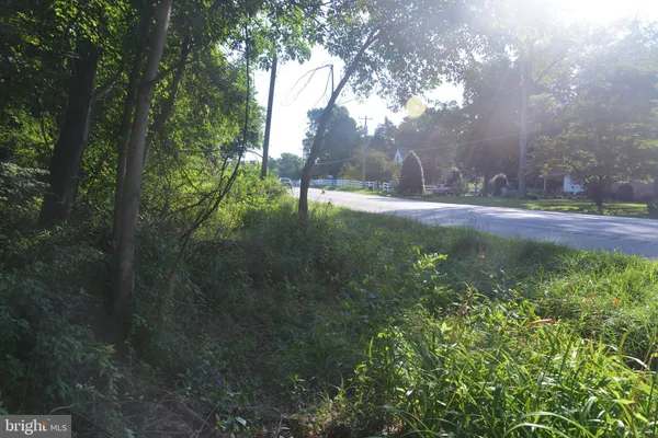 a view of yard with green space