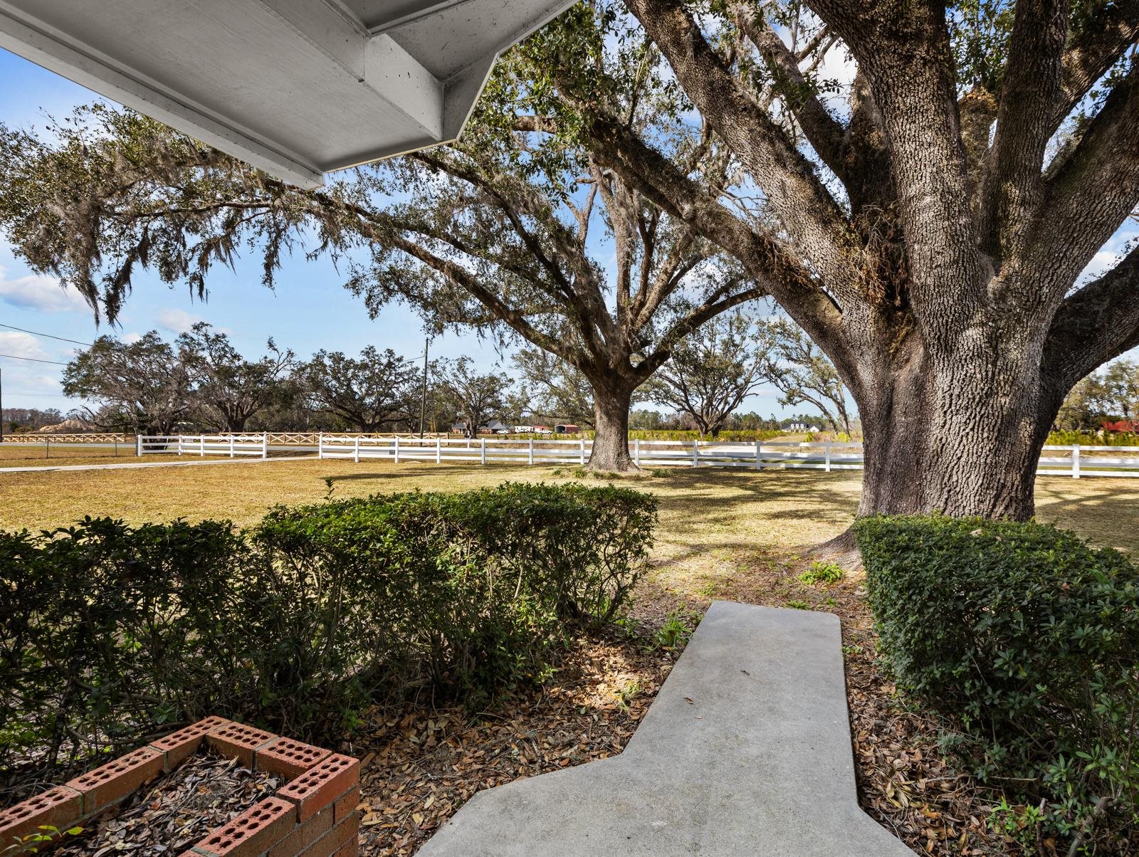 1953 Holt Road Perry, FL 32348 - Photo 38 of 42 Gallery Image 38