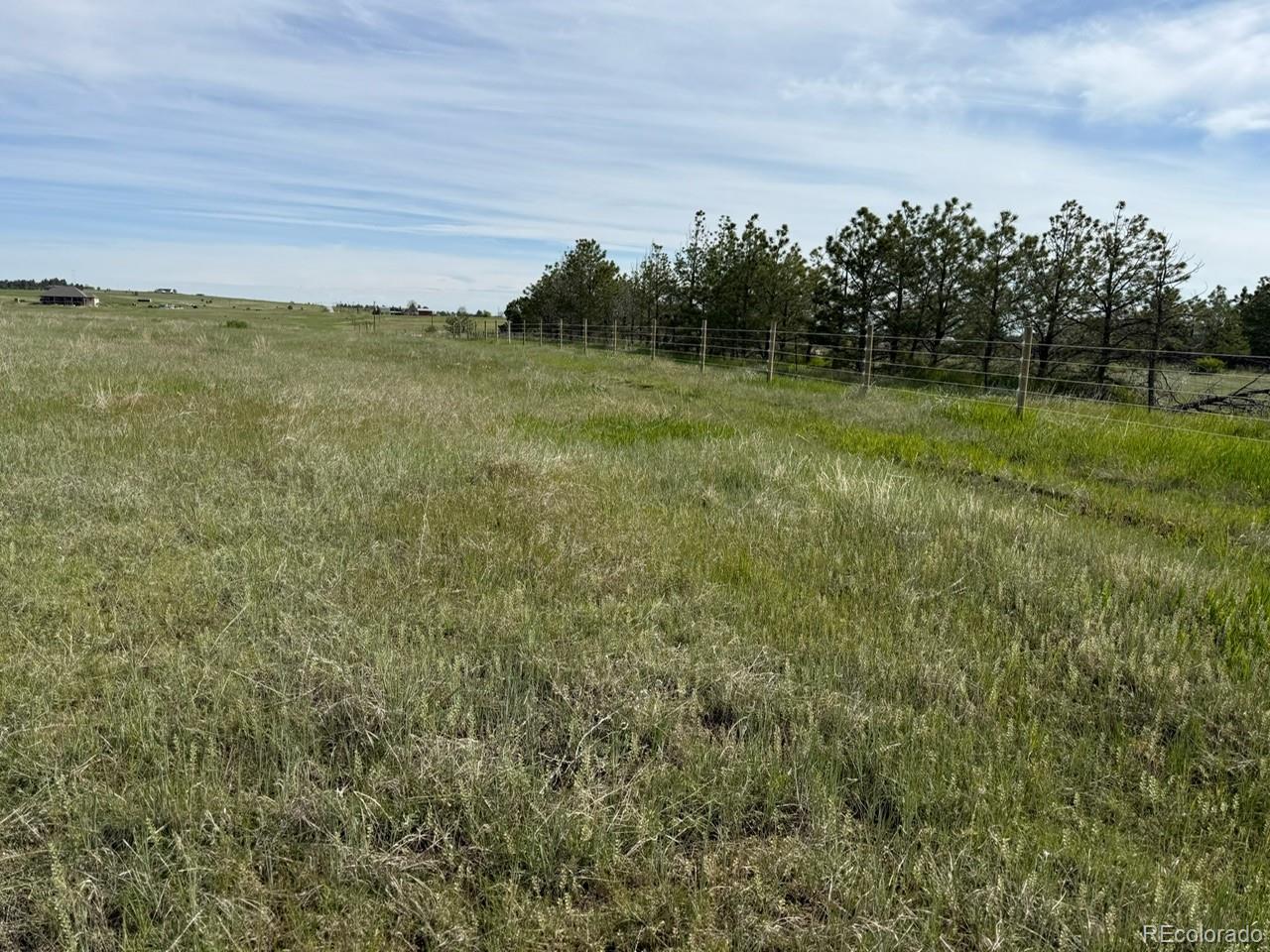 35501 Cheyenne Trail Elizabeth, CO 80107 - Photo 11 of 17 a view of a field with an trees