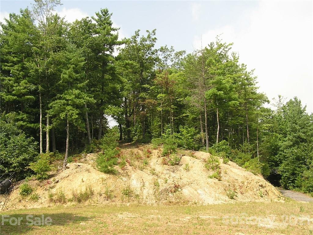 0 Lost Ridge Road, Unit 2123 Lenoir, NC 28645 - Photo 5 of 21 Gallery Image 5