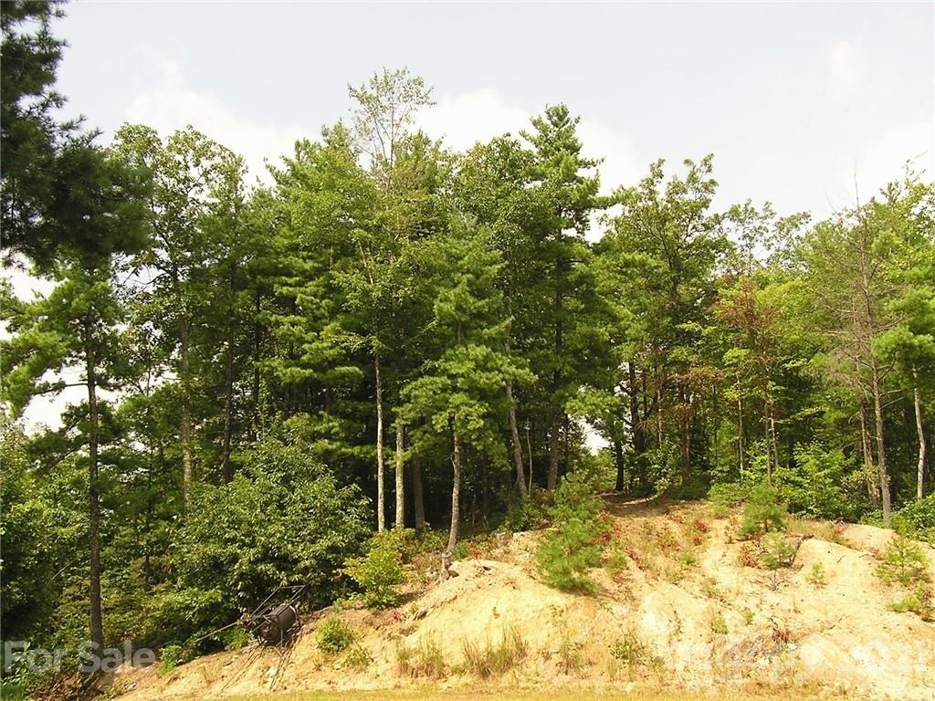 0 Lost Ridge Road, Unit 2123 Lenoir, NC 28645 - Photo 6 of 21 Gallery Image 6