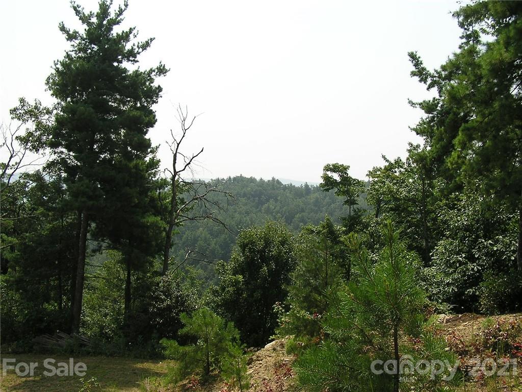 0 Lost Ridge Road, Unit 2123 Lenoir, NC 28645 - Photo 9 of 21 Gallery Image 9