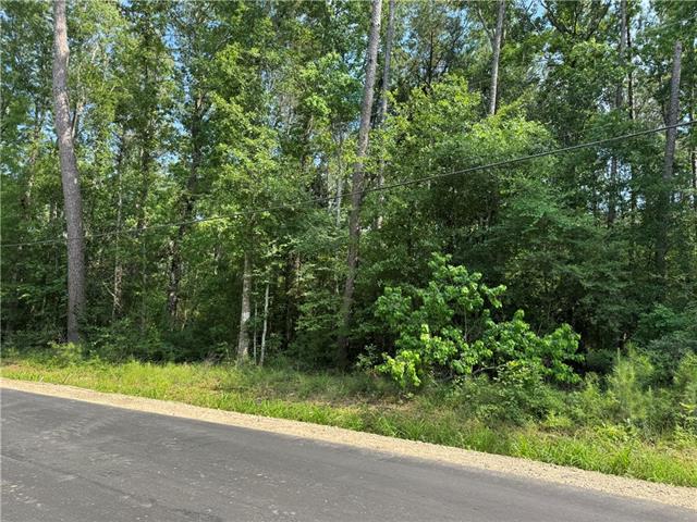 1 D Lower Rome Road Springfield, LA 70462 - Photo 1 of 18
