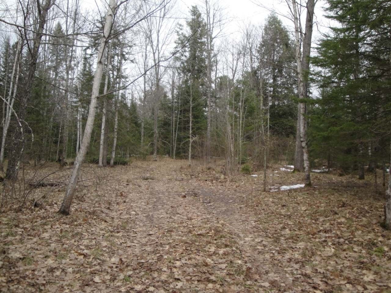 37-acres 37-acres Slizewski Road Rhinelander, WI 54501 - Photo 14 of 16 Gallery Image 14