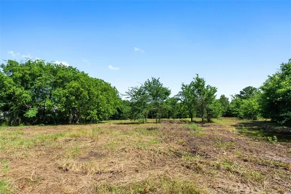 a view of a field with trees in the background