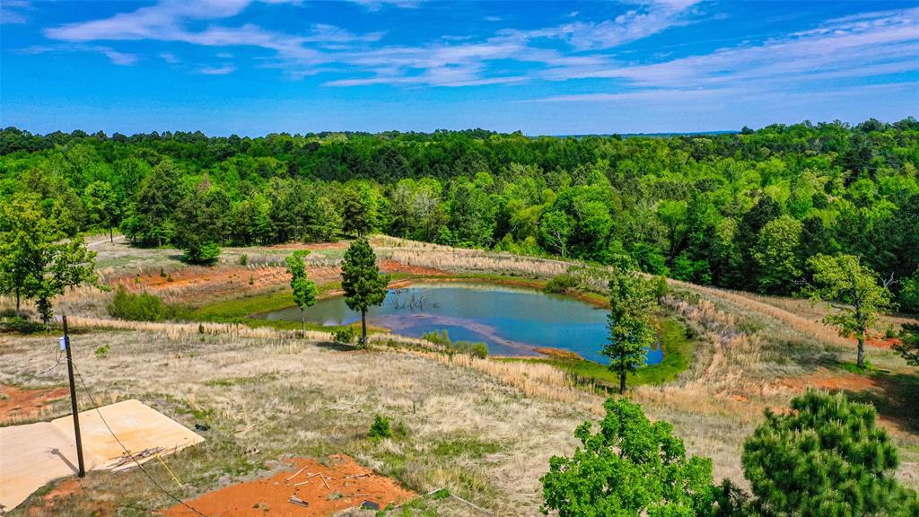 11088 County Road 334 Tyler, TX 75708 - Photo 11 of 23 a view of a park