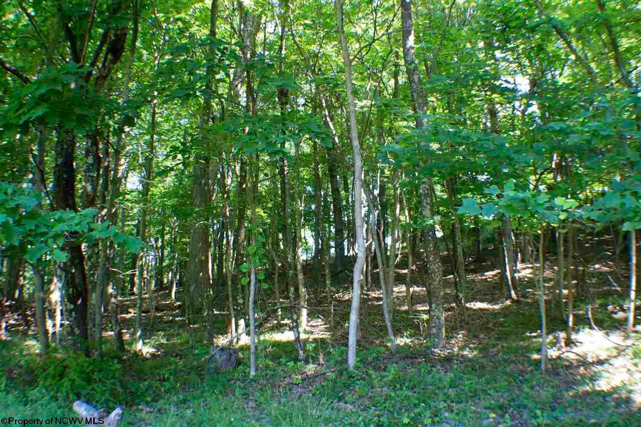 3443 West Herring Road Masontown, WV 26542 - Photo 7 of 20 Gallery Image 7