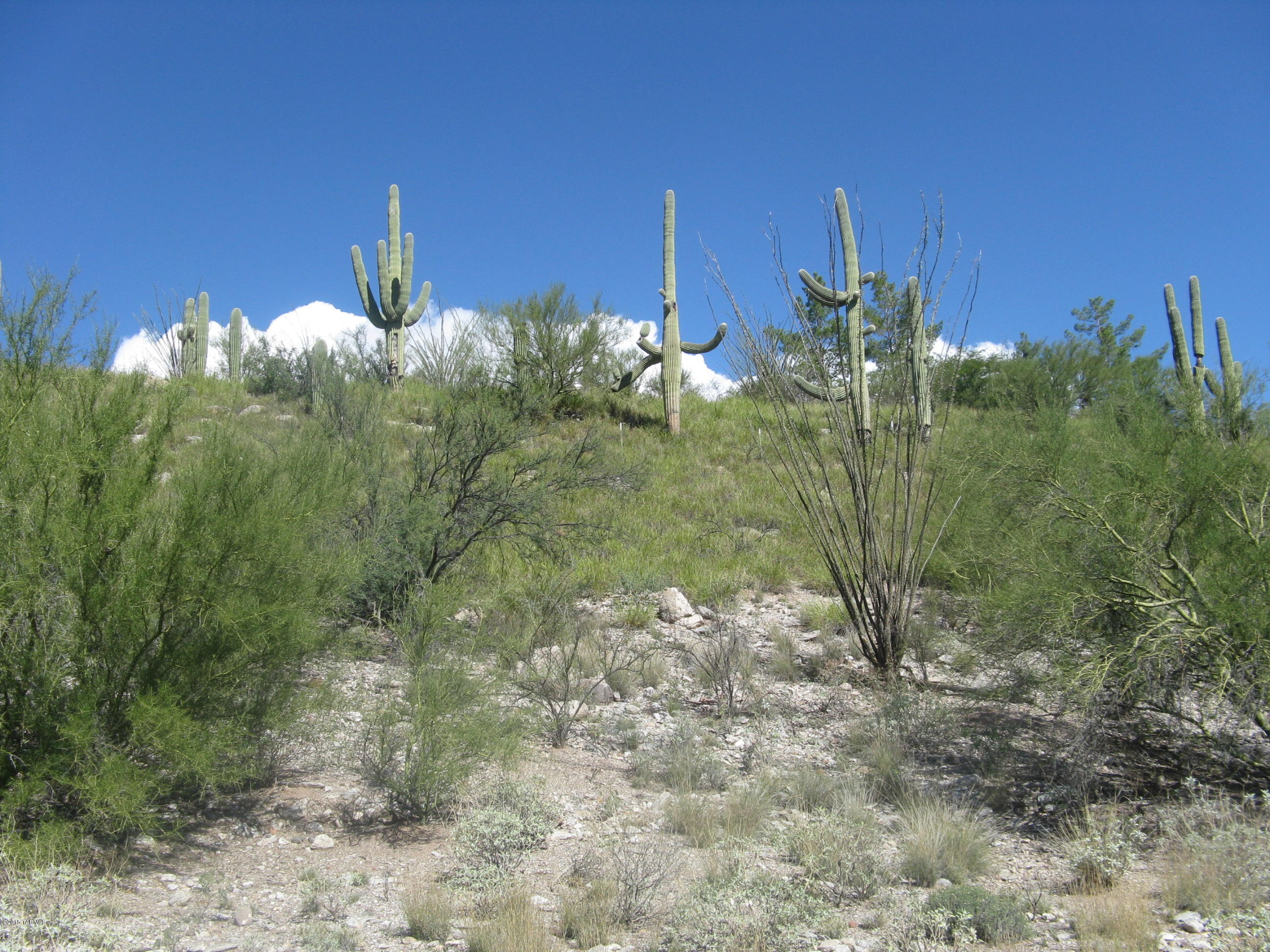 6802 East Snyder Road, Unit 18 Tucson, AZ 85750 - Photo 5 of 7