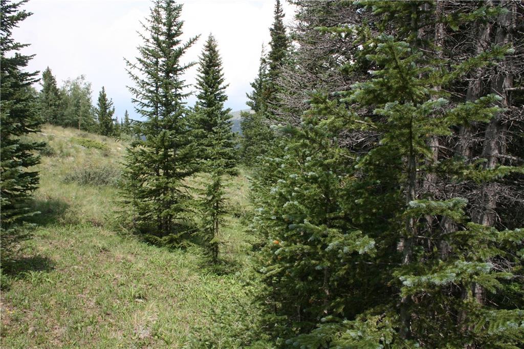 1919 Quartzville Road Alma, CO 80420 - Photo 1 of 10 Gallery Image 1