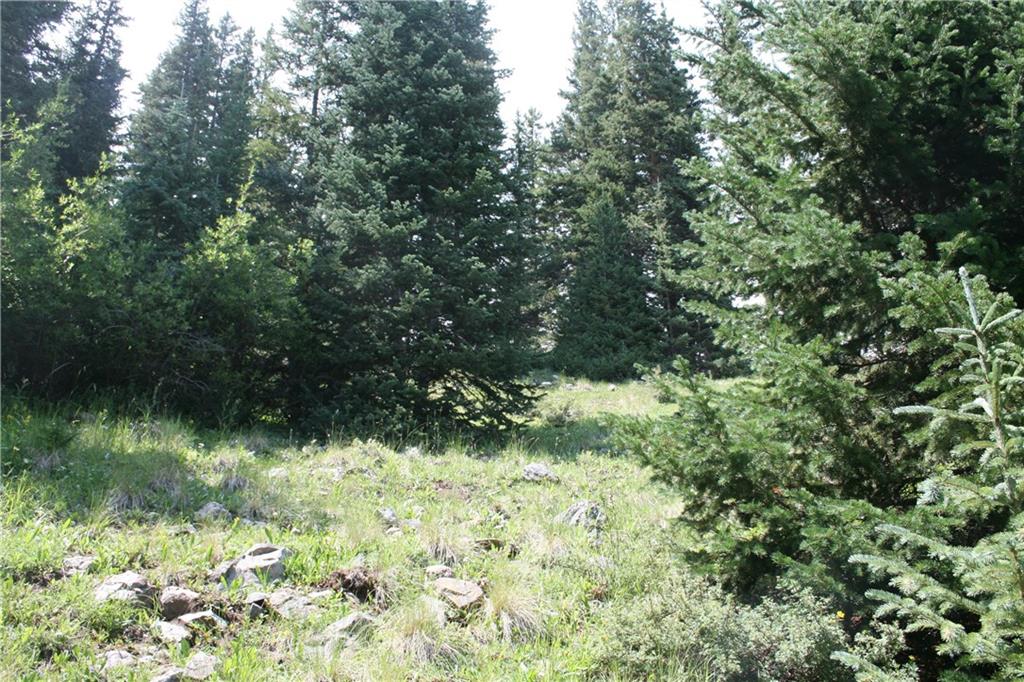 1919 Quartzville Road Alma, CO 80420 - Photo 3 of 10 Gallery Image 3