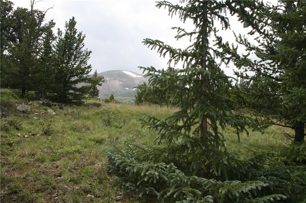 1919 Quartzville Road Alma, CO 80420 - Photo 4 of 10 Gallery Image 4
