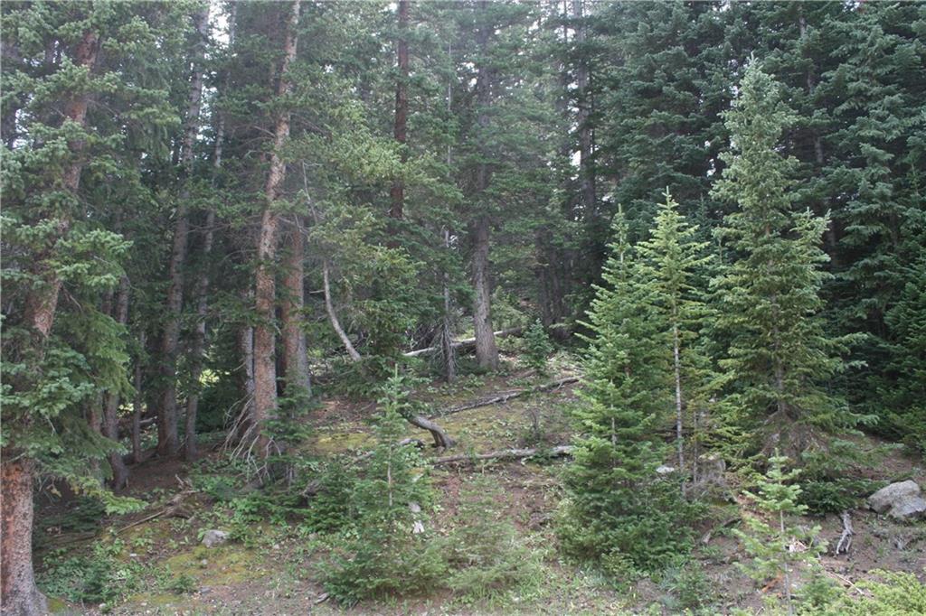 1919 Quartzville Road Alma, CO 80420 - Photo 6 of 10 Gallery Image 6