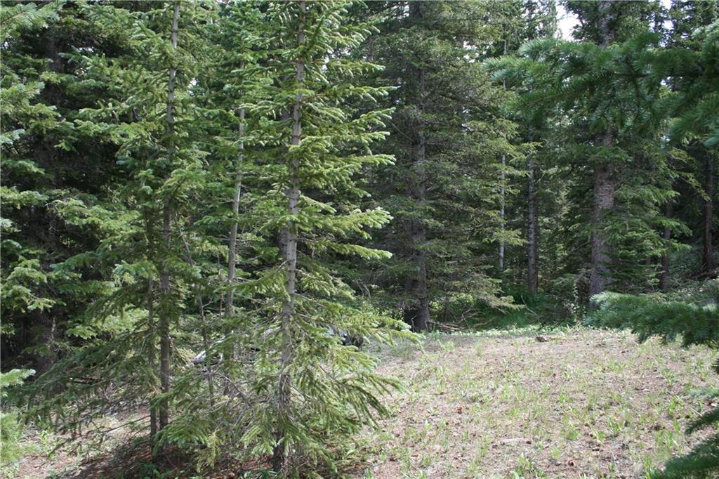 1919 Quartzville Road Alma, CO 80420 - Photo 9 of 10 Gallery Image 9