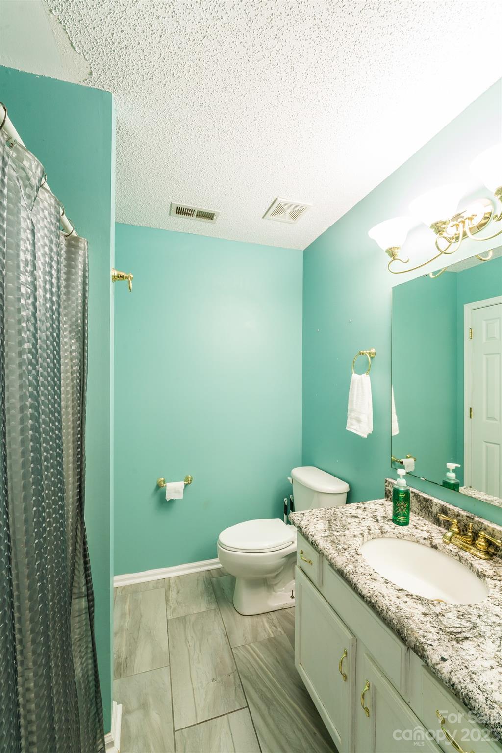 513 Red Oak Court Tega Cay, SC 29708 - Photo 11 of 21 a bathroom with a granite countertop sink a toilet and a mirror