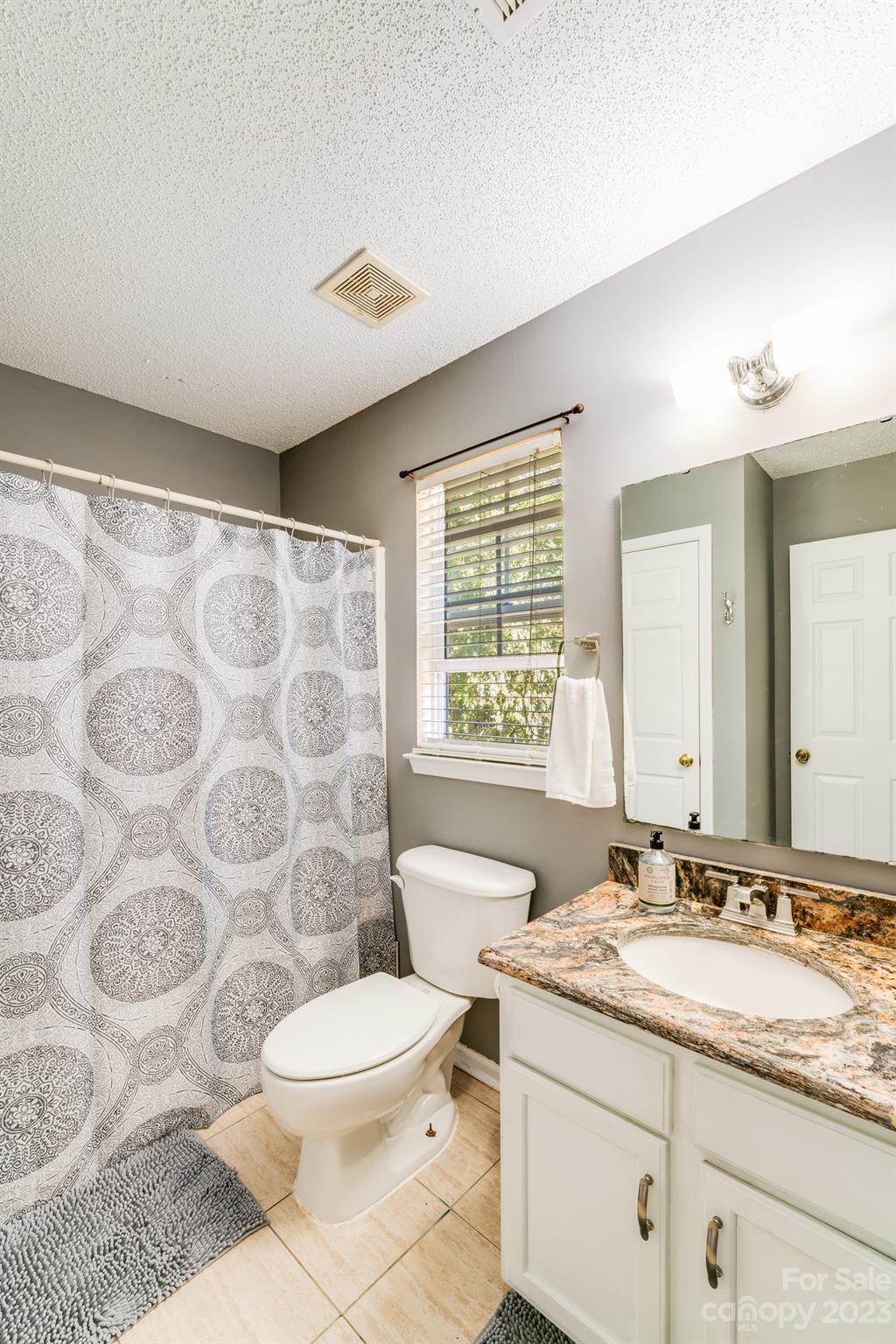 513 Red Oak Court Tega Cay, SC 29708 - Photo 13 of 21 a bathroom with a granite countertop sink a toilet a mirror and shower curtain