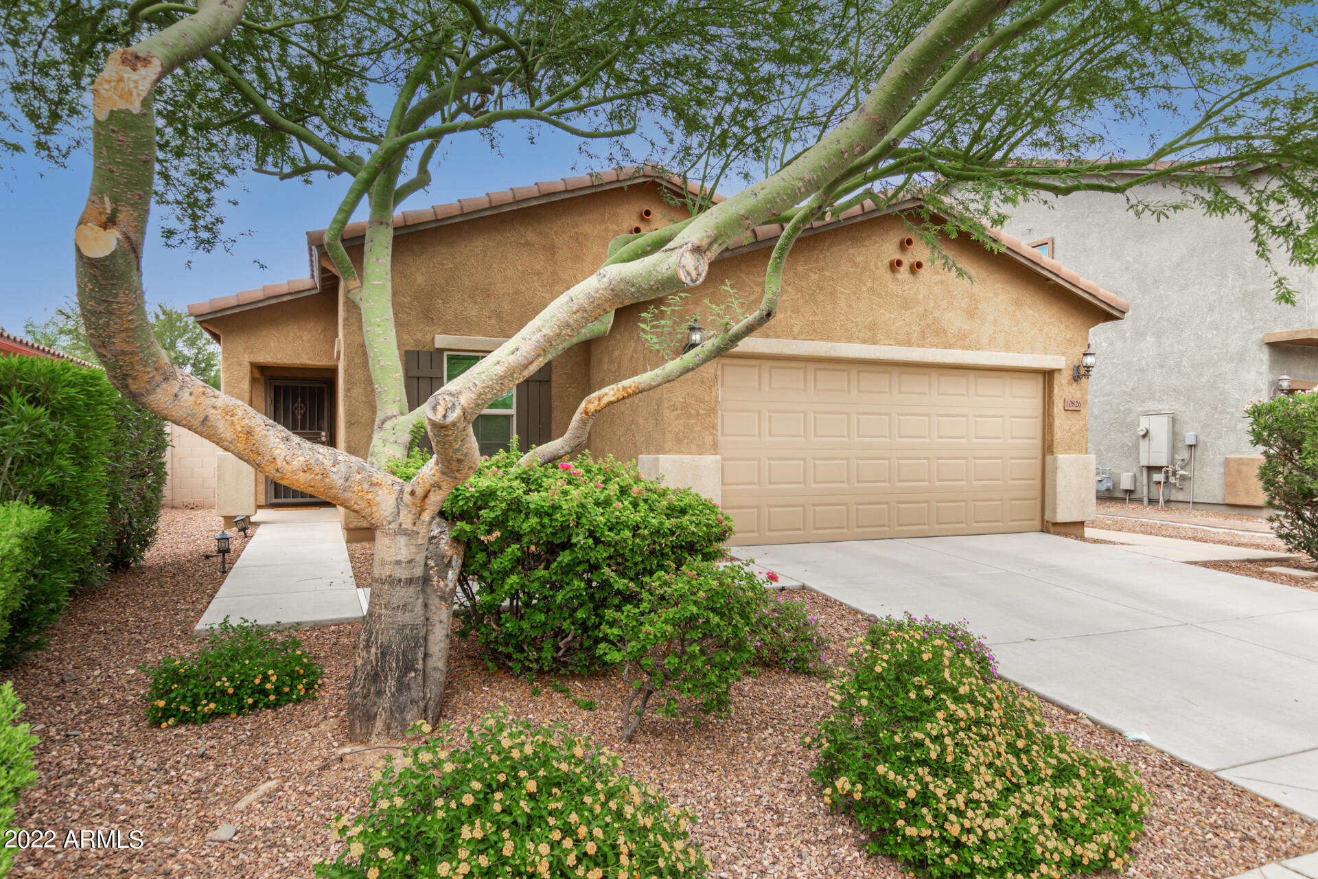 10826 West Avenida Del Rey Peoria, AZ 85383 - Photo 1 of 32 02-Avenida del Rey