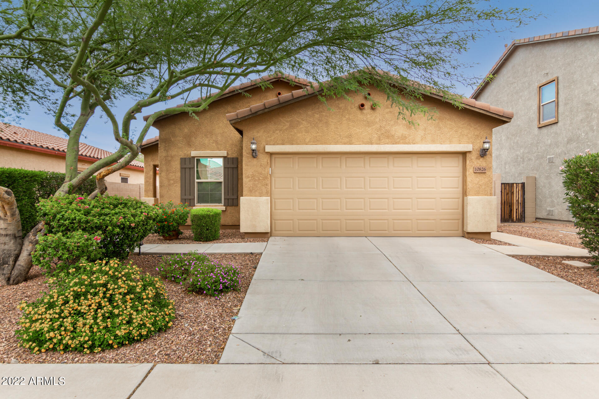 10826 West Avenida Del Rey Peoria, AZ 85383 - Photo 7 of 32 01-Avenida del Rey