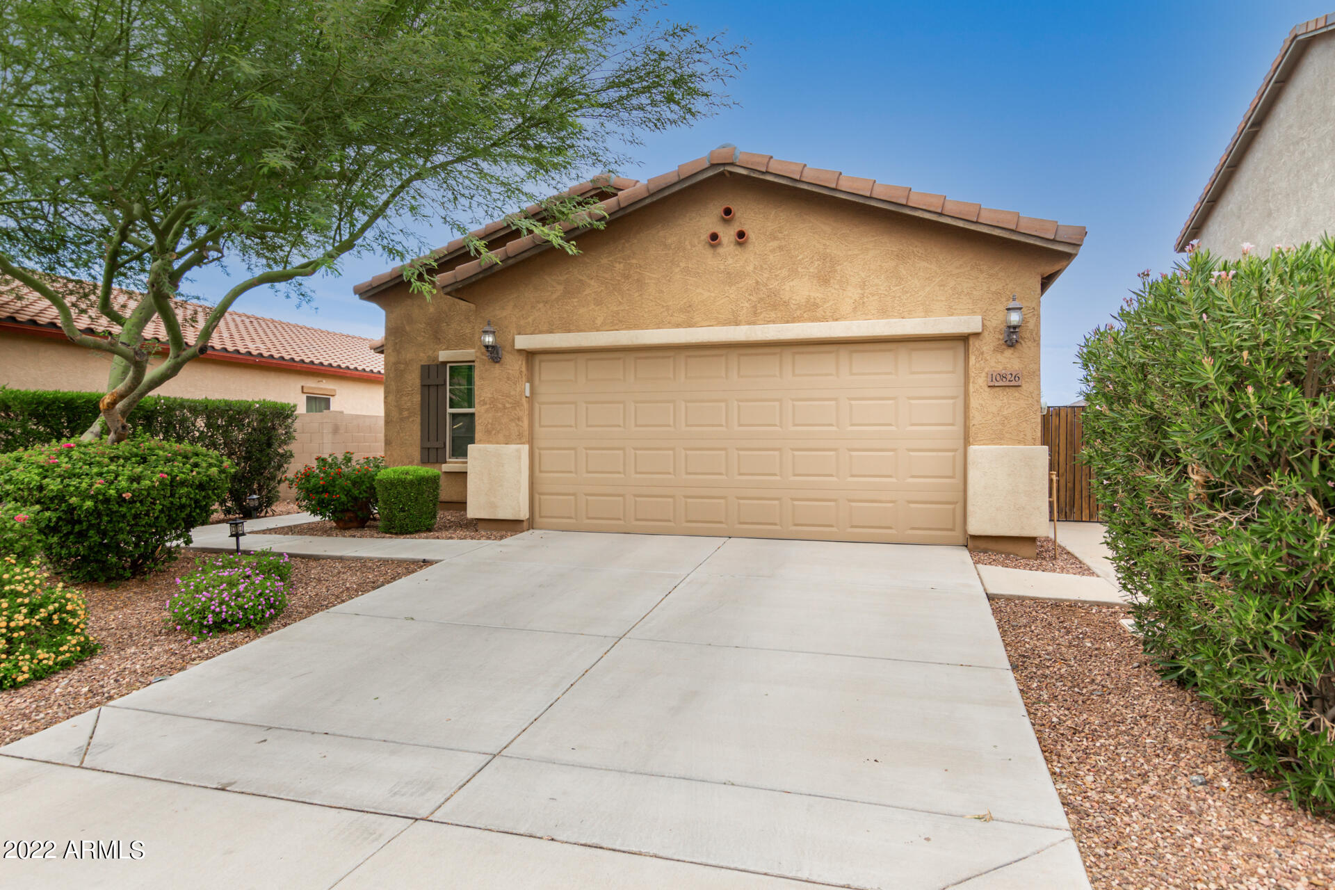 10826 West Avenida Del Rey Peoria, AZ 85383 - Photo 8 of 32 03-Avenida del Rey