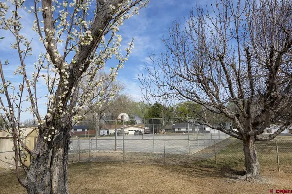 a view of outdoor space yard and tree