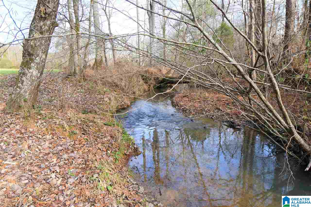 5535 Old Gallant Road Gallant, AL 35972 - Photo 42 of 50