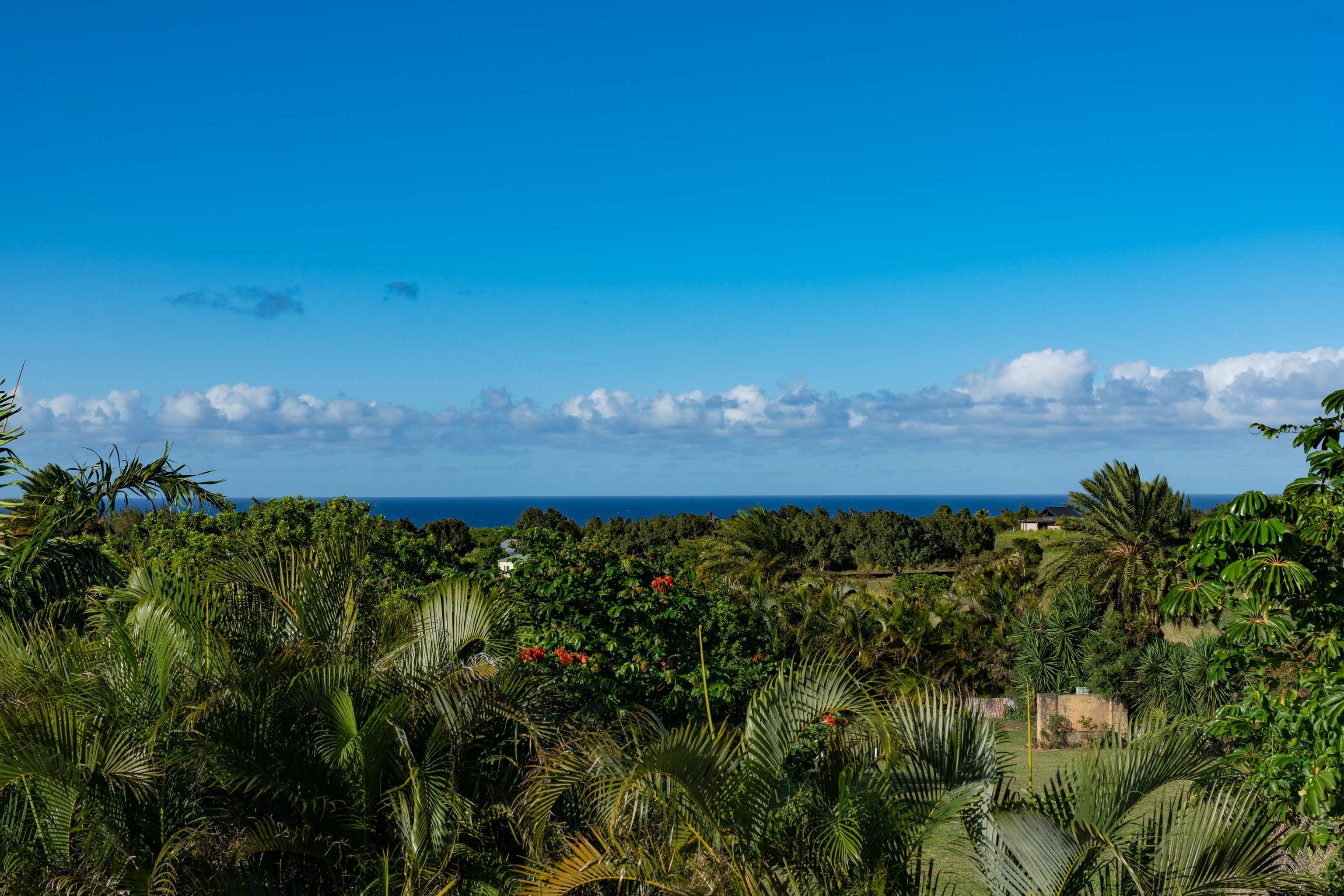 166 Apuwai Street Haiku, HI 96708 - Photo 17 of 30 a view of a yard with an outdoor space and seating