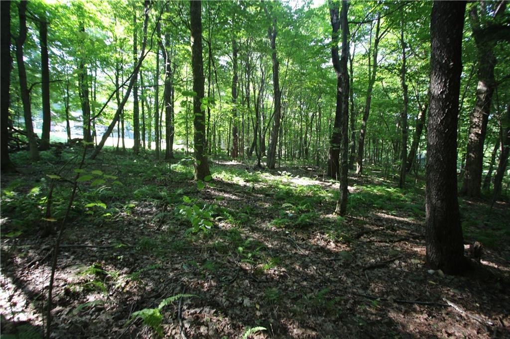 1563 Mount Zion Road Normalville, PA 15469 - Photo 11 of 11 a view of outdoor space and trees