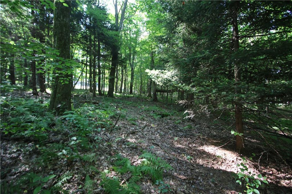 1563 Mount Zion Road Normalville, PA 15469 - Photo 4 of 11 a big yard with lots of green space and house in back