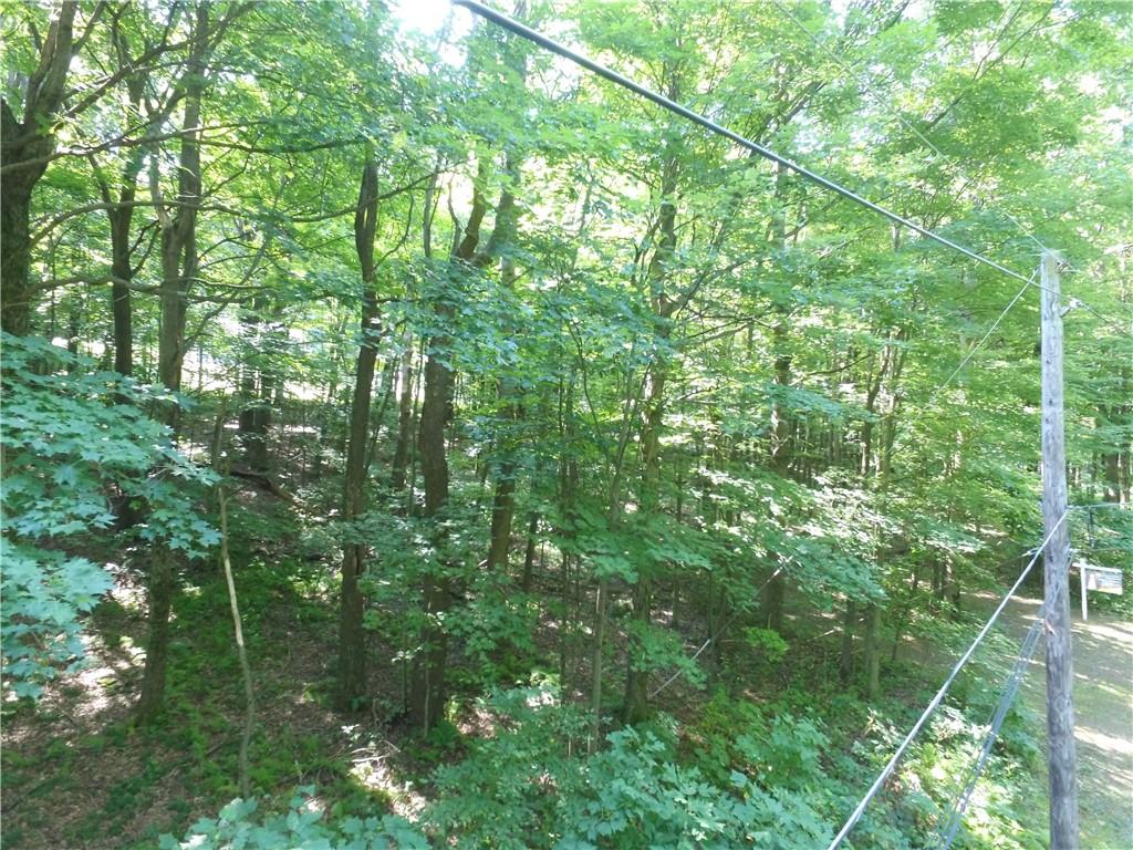 1563 Mount Zion Road Normalville, PA 15469 - Photo 5 of 11 a backyard of a house with lots of trees