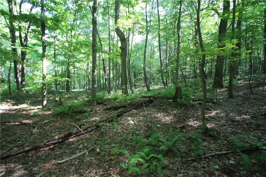 1563 Mount Zion Road Normalville, PA 15469 - Photo 6 of 11 a view of outdoor space and green space