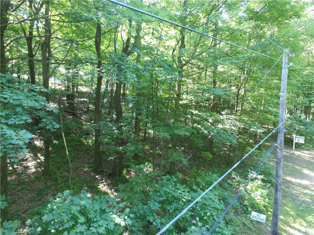 1563 Mount Zion Road Normalville, PA 15469 - Photo 7 of 11 a view of a lush green forest with lots of trees
