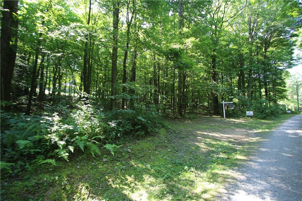 1563 Mount Zion Road Normalville, PA 15469 - Photo 8 of 11 a view of a tree in a yard