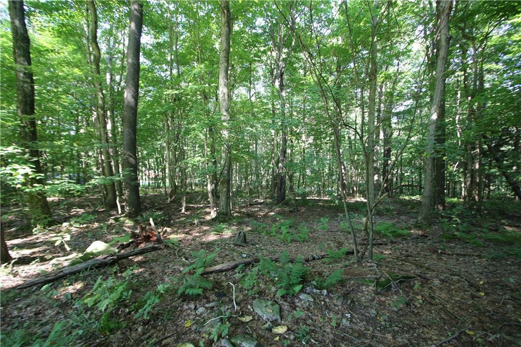 1563 Mount Zion Road Normalville, PA 15469 - Photo 9 of 11 a view of outdoor space and green space